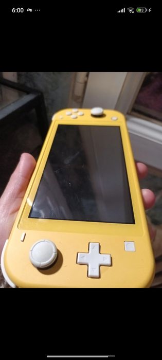 Nintendo switch lite