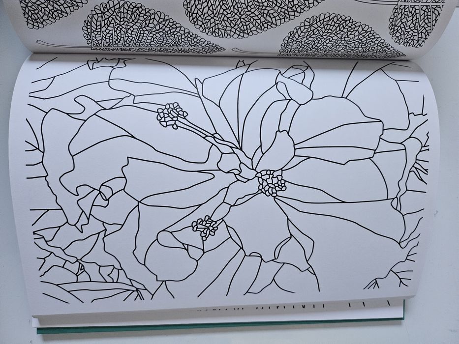 Kreatywna kolorowanka dla dorosłych mozaika Mooi Mozaïek Creatief Kleu