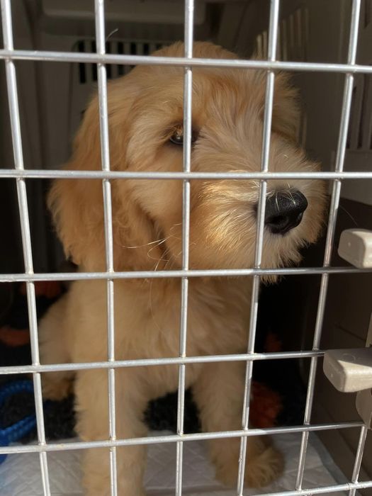 Перевозка  за границу. Европа. Скандинавия