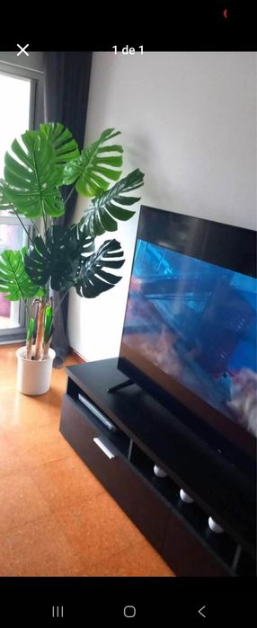 Arvores costelas de adão artificiais para decoraçôes