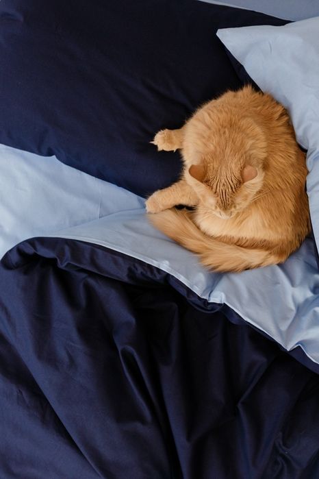 пошив постельного белья