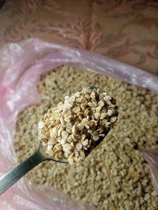 Насіння томатів,мікс сортів томатів,помідори насіння,насіння помідорів