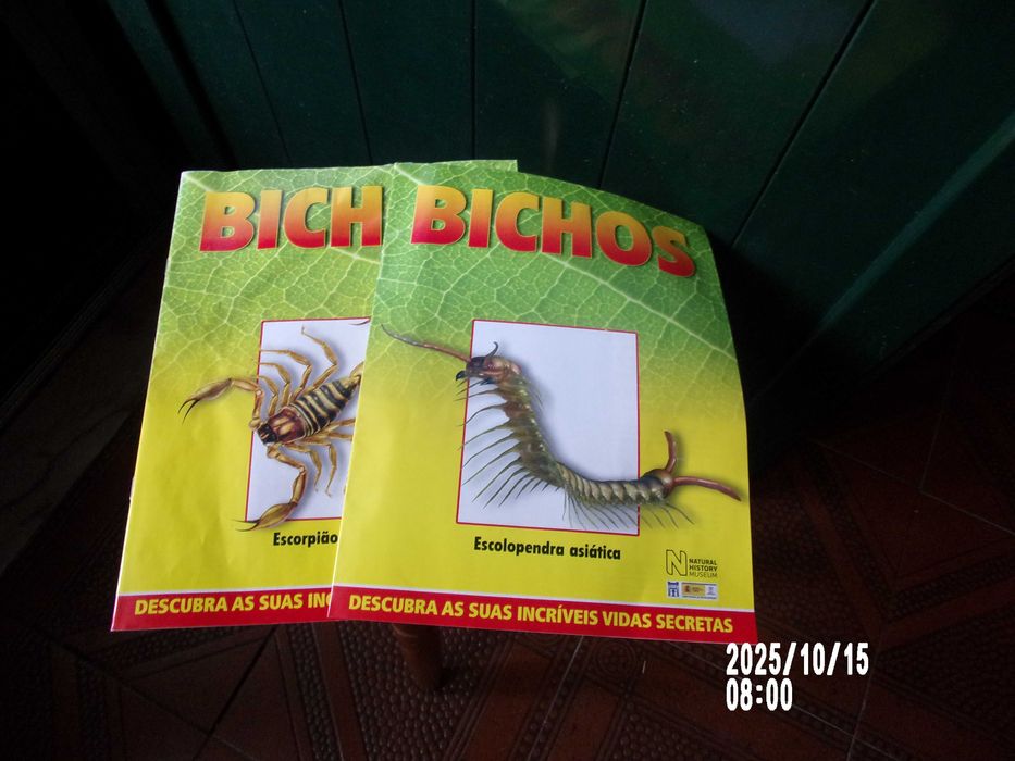 Coleção de Bichos em blocos de resina