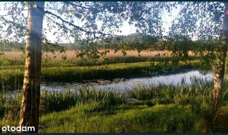 Działka nad jeziorem z linią brzegową Góra gm. Pobiedziska