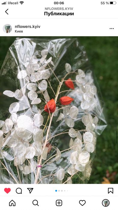 Семена растения лунник лунария монетное дерево 9г