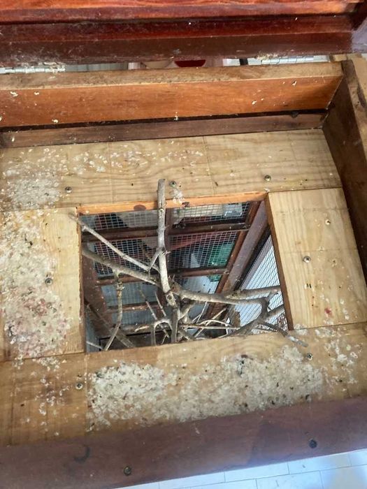 Gaiola pássaros feita á mão