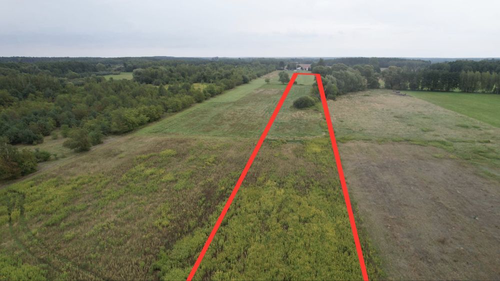 Działka 1000 m² wśród natury | Jezioro Białe 600 m - Widok 4