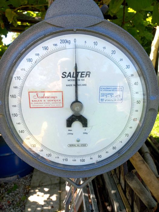 Sprzedam wagę firmy Salter