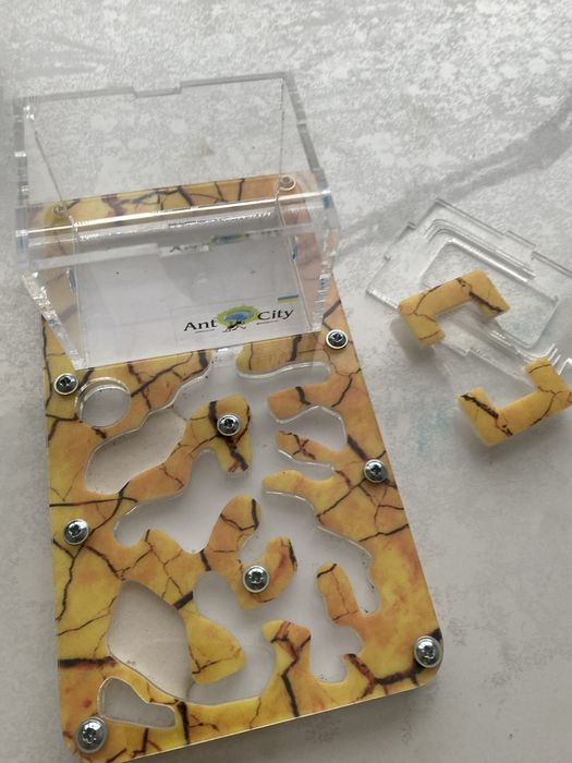 Мурашина ферма смарт сахара antcity