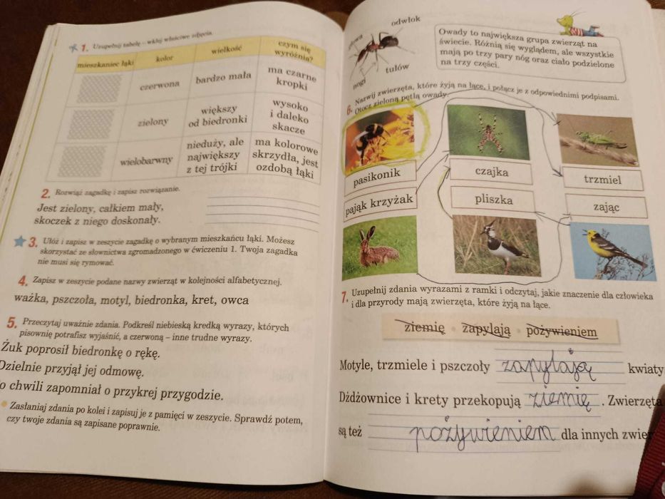 Elementarz XXI wieku, klasa 2