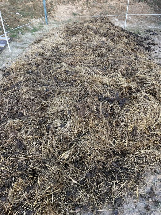 Oddam koński obornik