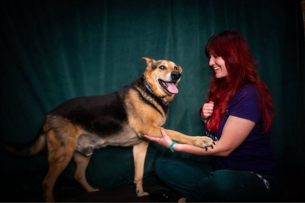 Adoptuj Kubusia, to jest ostatnia szansa