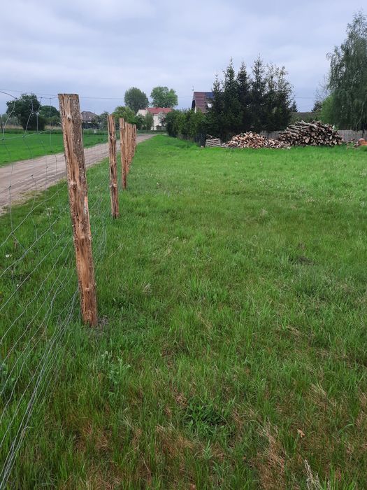 Działka rolna, działka  budowlana