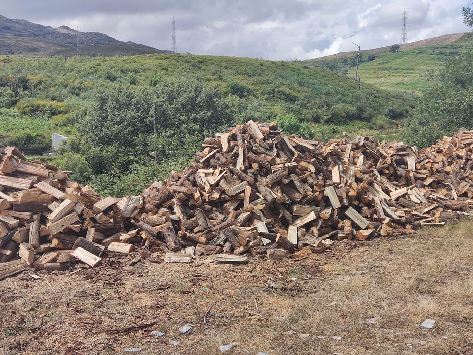 Venda de lenha seca