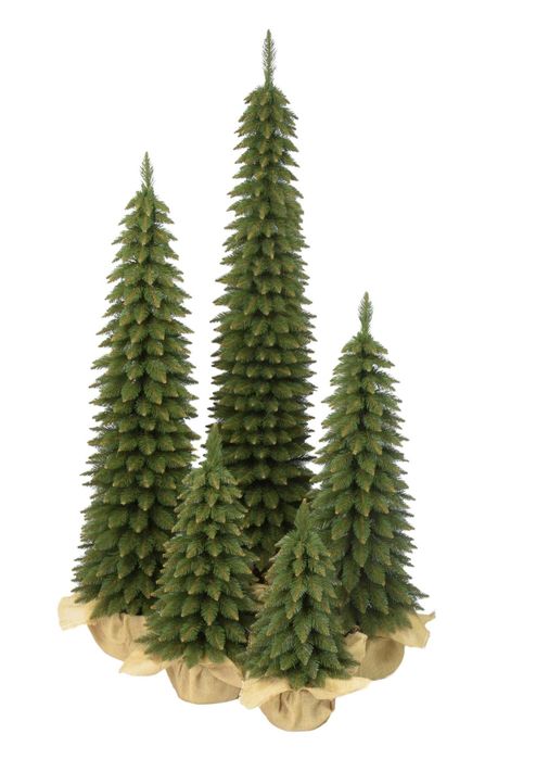 Zestaw 3 choinek świerk zakopiański super slim