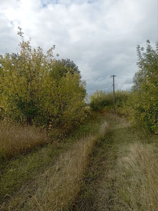 Будинок з земельною ділянкою
