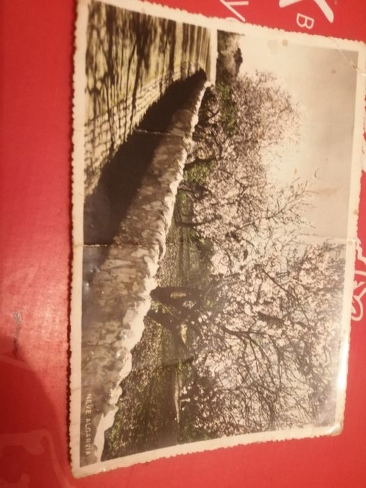 Bilhete Postal (1960) | Neve Algarvia (pintado a mão)