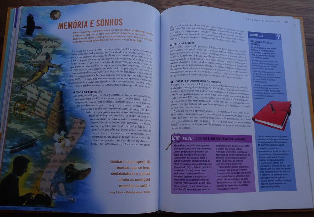 Uma Boa Memória (O Poder do Cérebro)