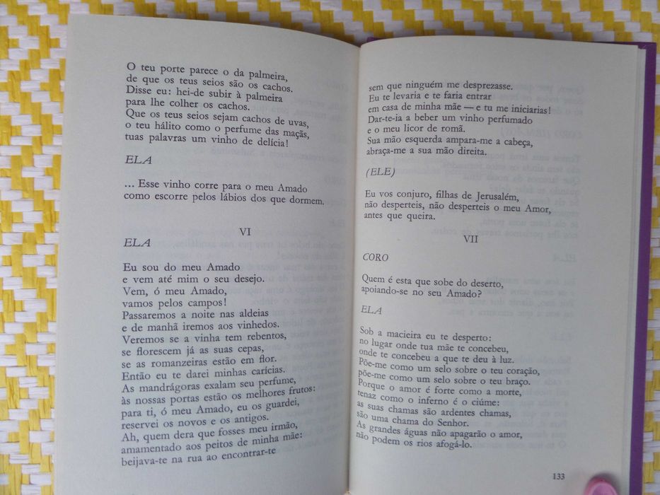 PRINCÍPIO DE SOL 
Autor: Pedro Tamen