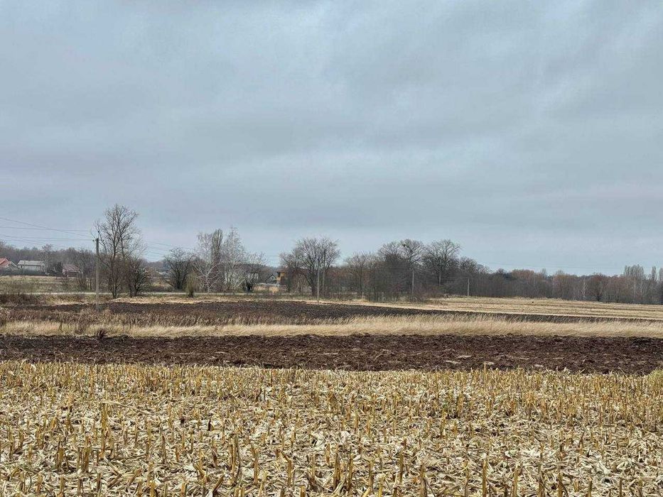 Земельний родючий масив у с. Воронькові ! По привабливій ціні!