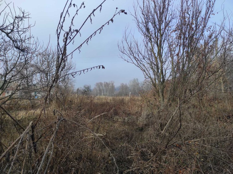 Продам дом В. Олександрівка. с. Дударков, 55 кв.м. на 46сотках земли!