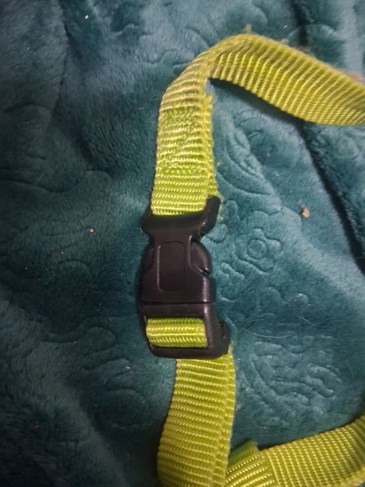 Colete para cão.  Excelente estado