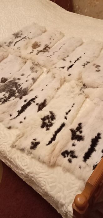 Продам шкірки кроля,вичинені