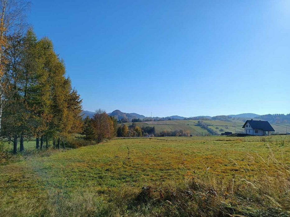 Działka budowlana 10a Bieszczady Bukowiec z widokiem