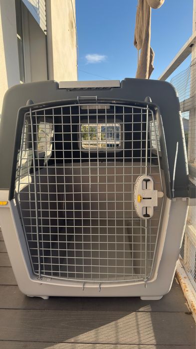 Caixa da   Gulliver  tamanho 7 com ração da Royal Canin lacrado