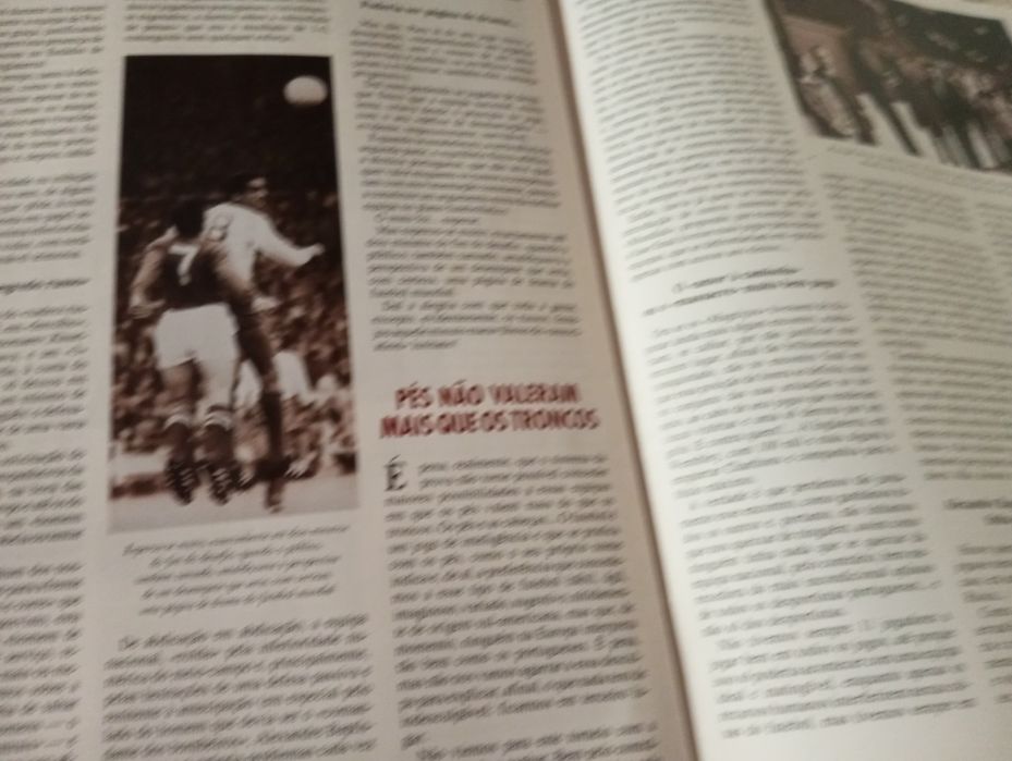 "Magriços" (Sobre o mundial de futebol de 1966)