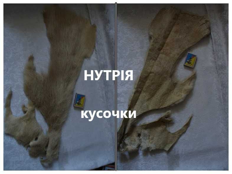Мех/ХУТРО натуральне, НЕ фарбоване - НОРКА коричнева і НУТРІЯ бежева