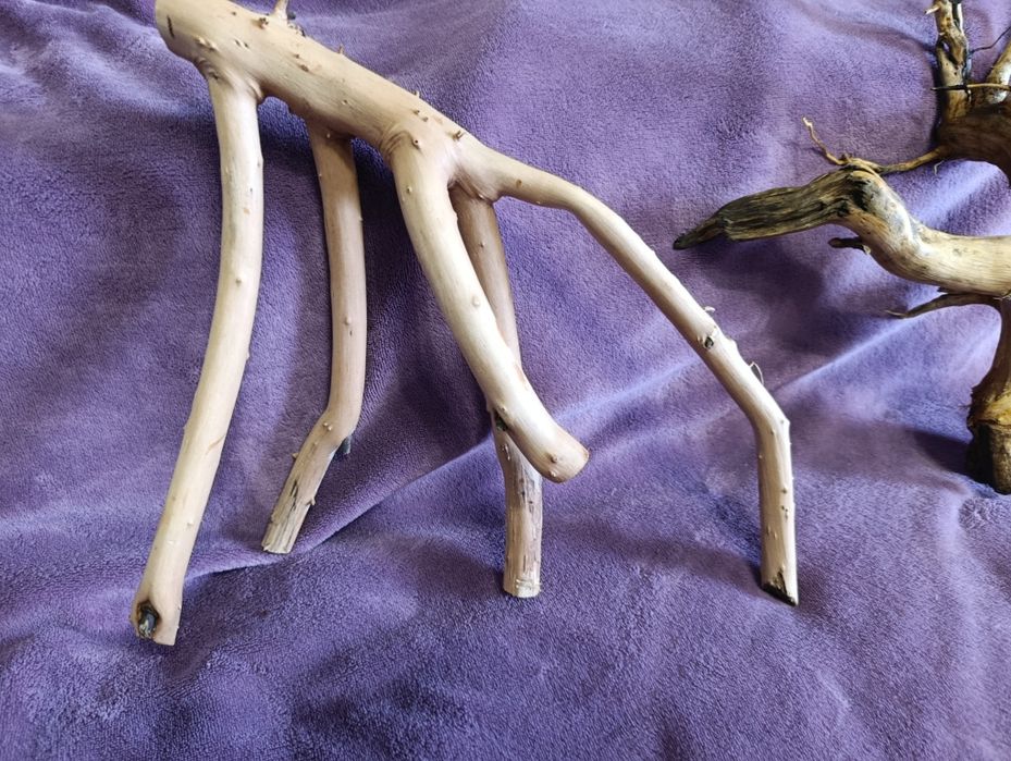 Коряга для акваріума