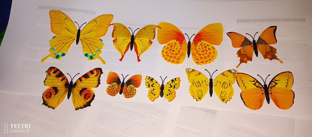 Метелелыки для холодильника липучки