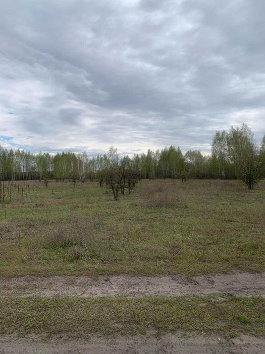 Нижча Дубечня, 2 га, ОСГ. Чудове місце для бізнес-проекту.