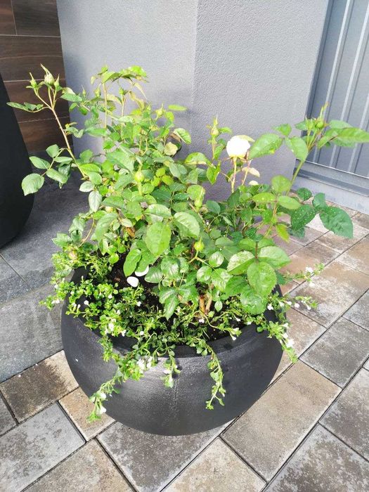 Вазоны, Вазы Уличные, Кашпо Loft, Горшки бетон, Бетонні Вазони Харків