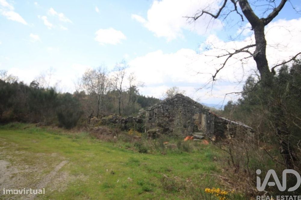 Casa rústica em Cambra e Carvalhal de Vermilhas de 3971 m2