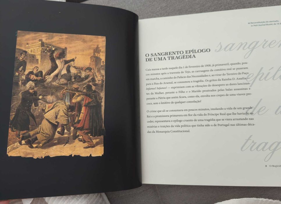 Regicídio de 1908 - A Lenta Agonia da História