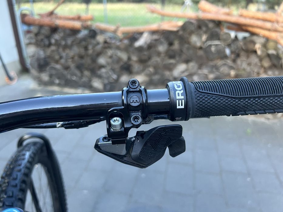 Rower Elektryczny Bixs e-Line EX Fox Kashima