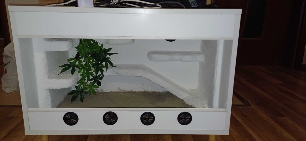 Profesjonalne terrarium dla gekona lamparciego
gotowe do użycia