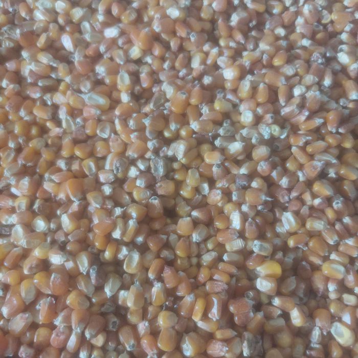 Vendo milho caseiro miúdo.