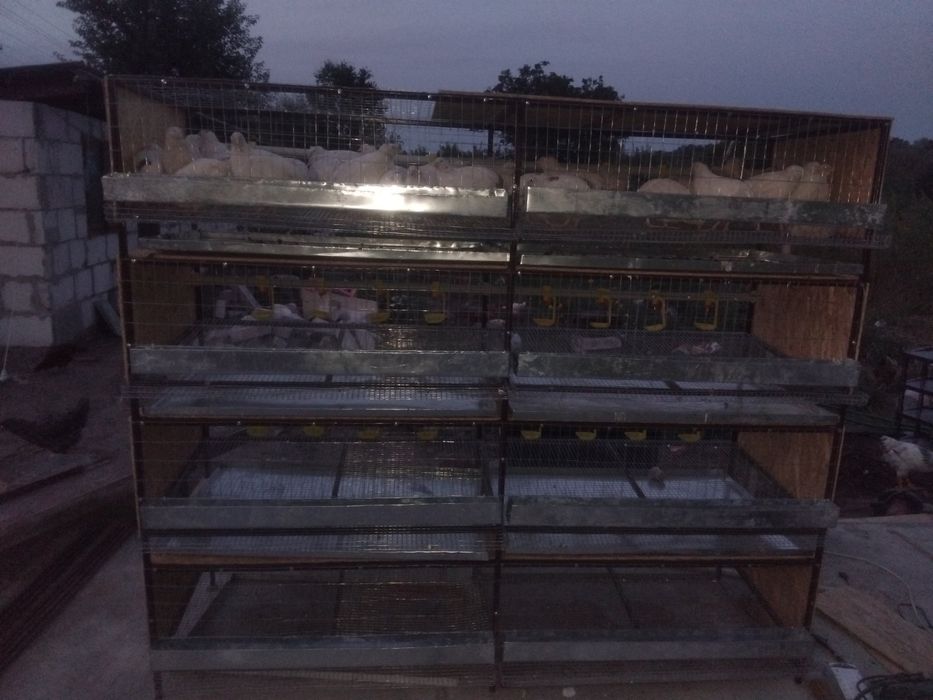 Клітки для перепілок, курей