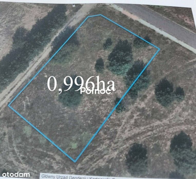 Działka 996m2 | Goreń Duży  | jezioro |