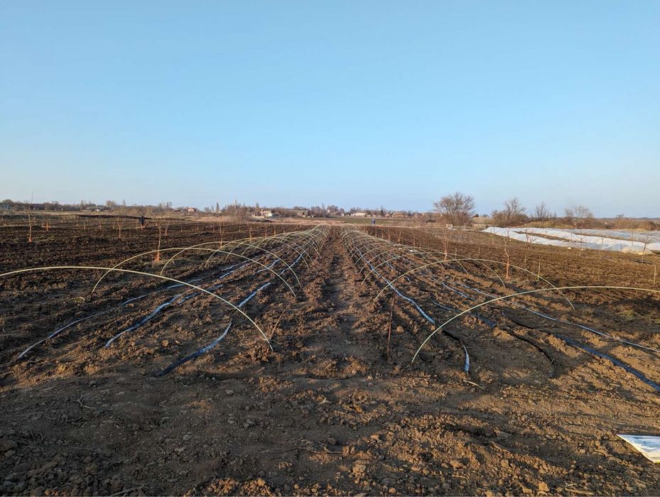 Опори для рослин Композитні Зелені Агро