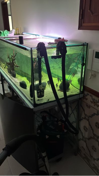 Aquario estrutura e equipamentos