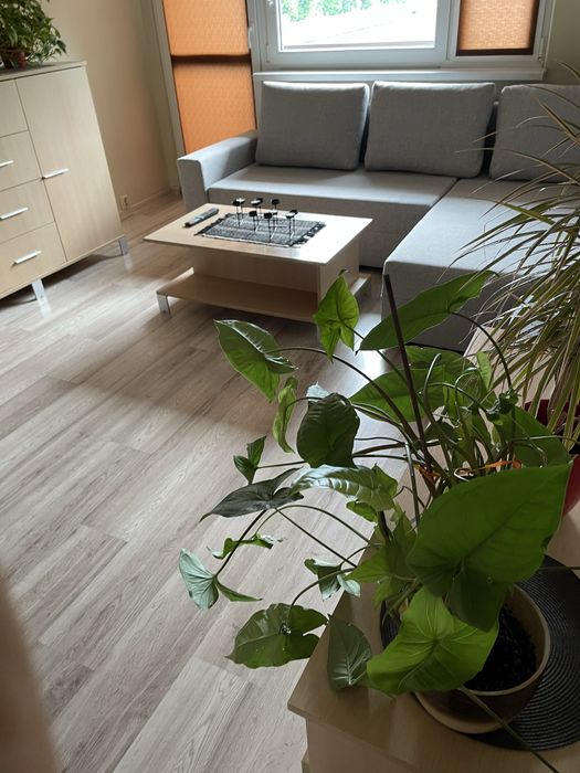 3 pokoje | Centrum Częstochowy | 56 m² | loggia | parking | 390 tys. - Widok 5