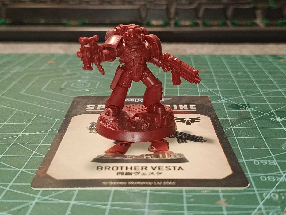 Brother Vesta Space Marine
