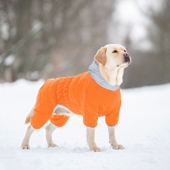 Одяг для собак зоотовари комбінезон великі розміри