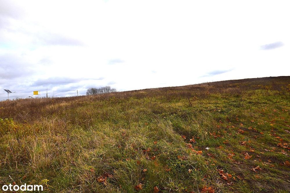 Działka budowlana w Klebarku Małym gm.Purda (269/22, pow.1431 m²) - Więcej