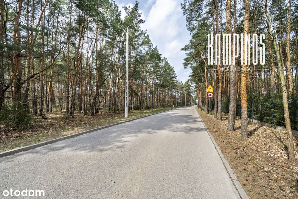 Działka leśna w Hornówku bezpośrednio przy KPN