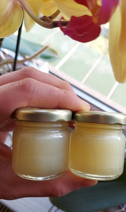 Rojowabik приманка для роя 85% skutecznosci 32G